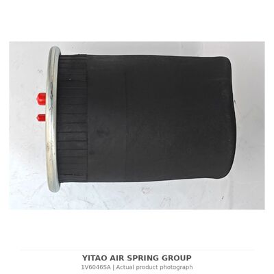 1V6046SA MAN Mola a Ar Sem Pistão 81436010152 | 4884N1P01
