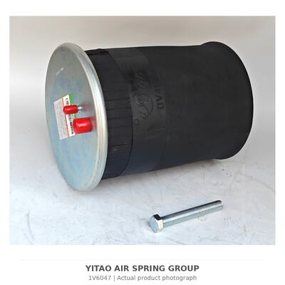 1V6047 Mola a Ar para Caminhão MAN 81.43600.6035 81436006066 | 4884N1P06