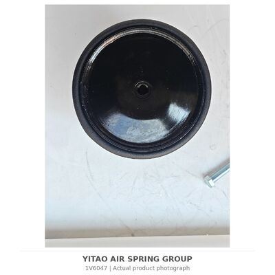 1V6047 Mola a Ar para Caminhão MAN 81.43600.6035 81436006066 | 4884N1P06