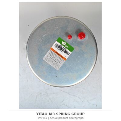 1V6047 Mola a Ar para Caminhão MAN 81.43600.6035 81436006066 | 4884N1P06