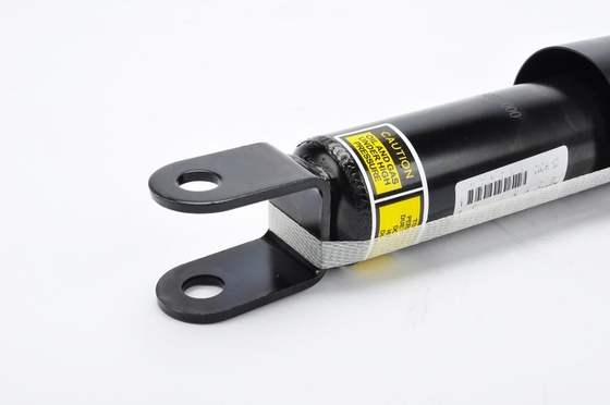 22187159 Front Air Struts